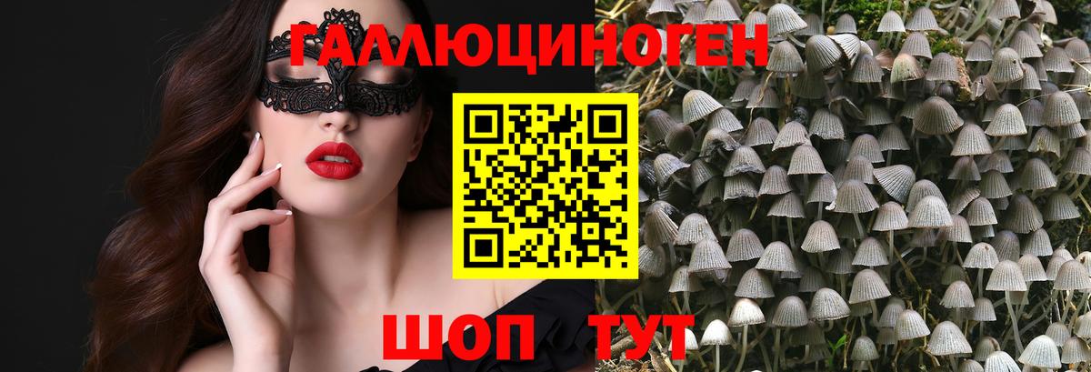 Галлюциногенные грибы GOLDEN TEACHER  Вход с VPN  купить   Верхний Уфалей 